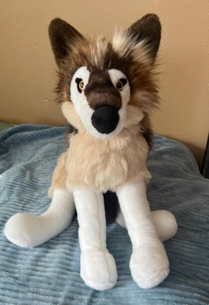 Wolf 01