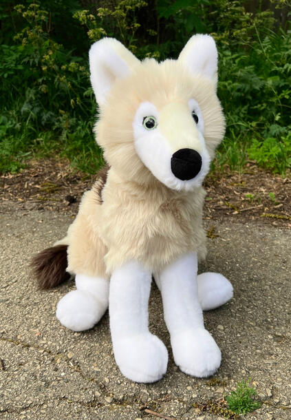 Wolf 03
