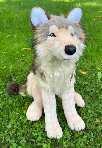 Wolf 10