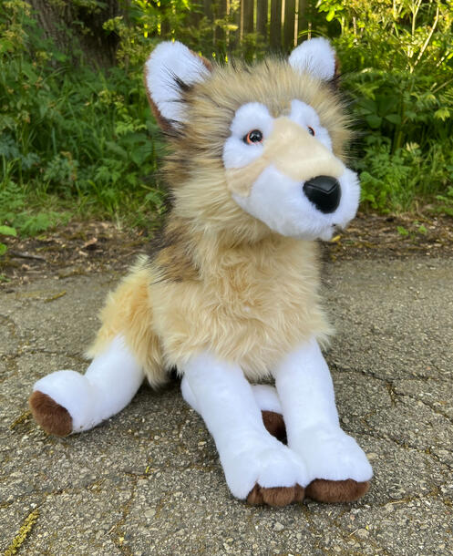 Wolf 05