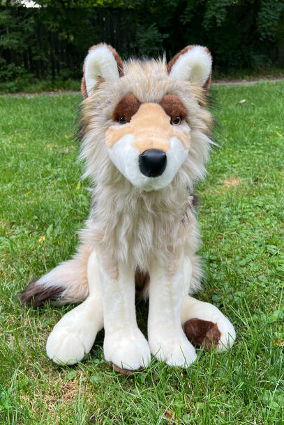 Wolf 09