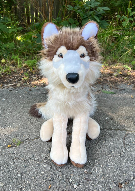 Wolf 08